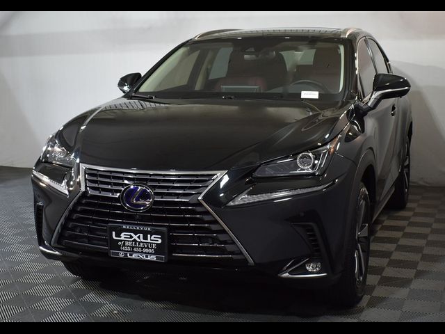 2021 Lexus NX 300h