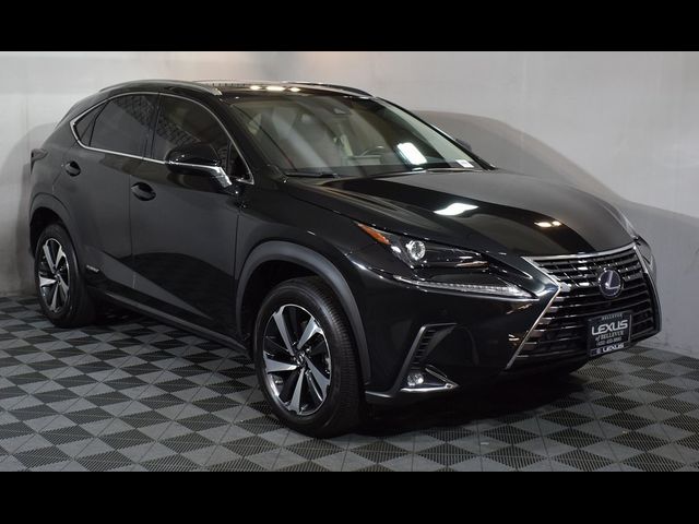 2021 Lexus NX 300h