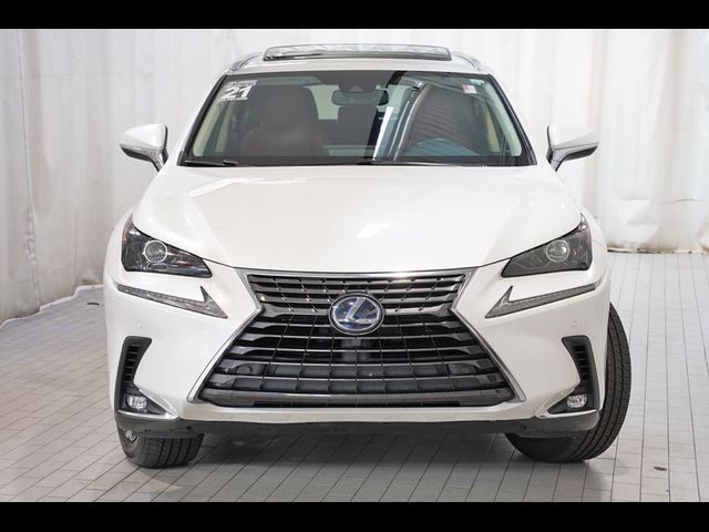 2021 Lexus NX 300h