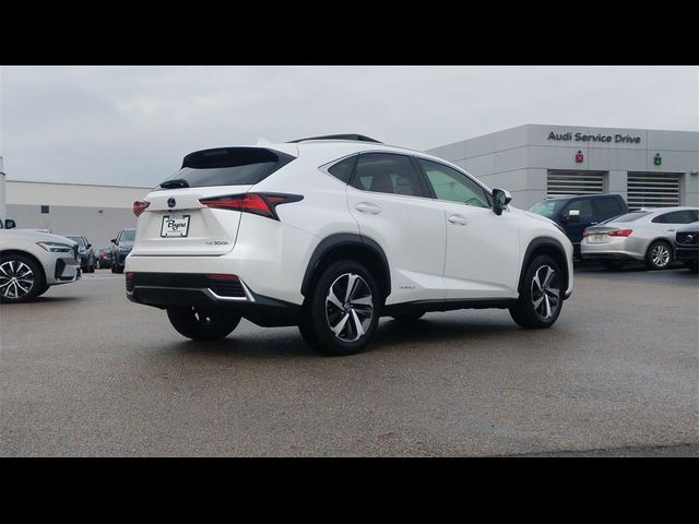 2021 Lexus NX 300h Luxury