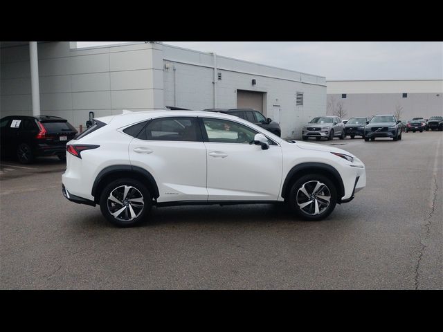 2021 Lexus NX 300h Luxury