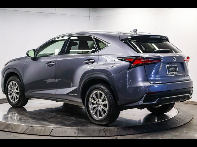 2021 Lexus NX 300h