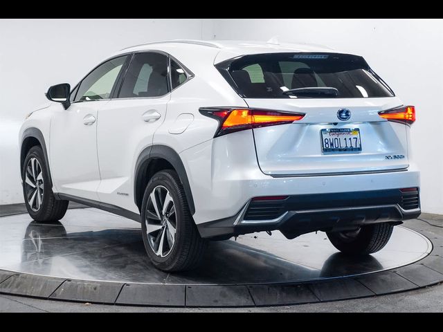 2021 Lexus NX 300h