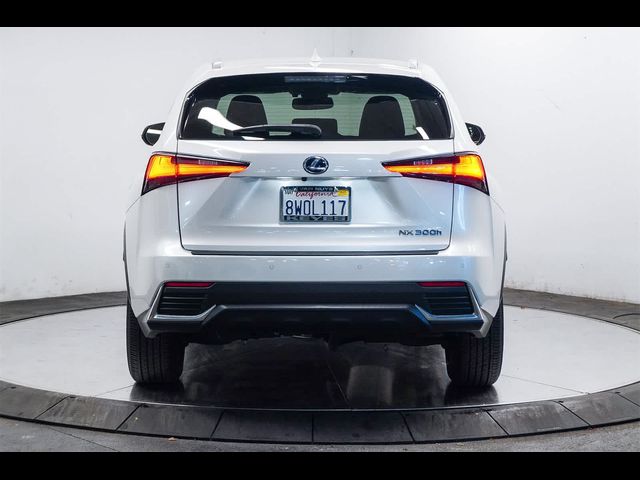 2021 Lexus NX 300h