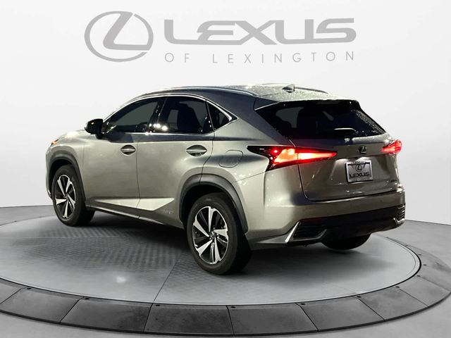 2021 Lexus NX 300h