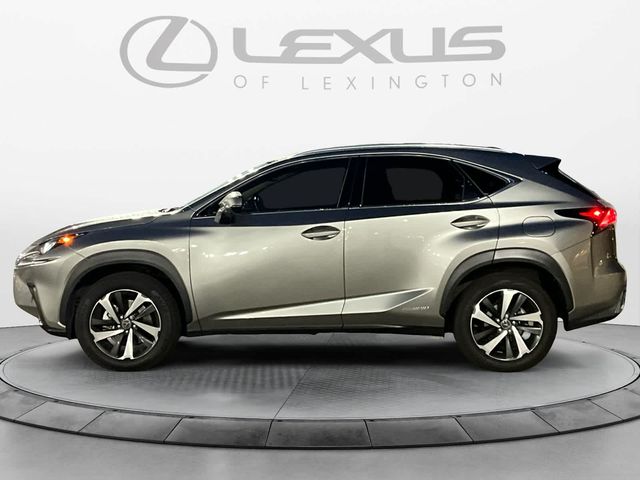 2021 Lexus NX 300h