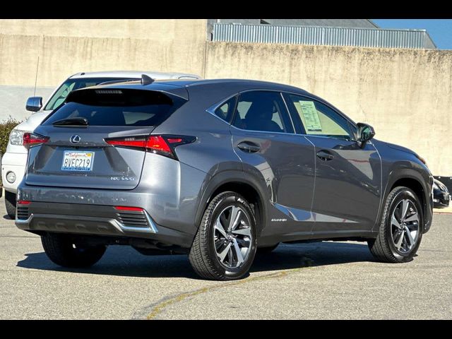 2021 Lexus NX 300h