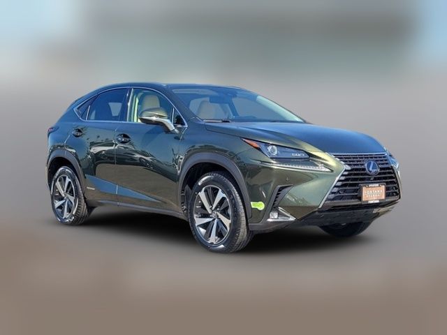 2021 Lexus NX 300h