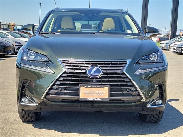 2021 Lexus NX 300h