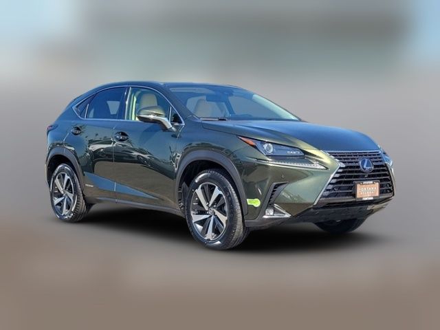 2021 Lexus NX 300h