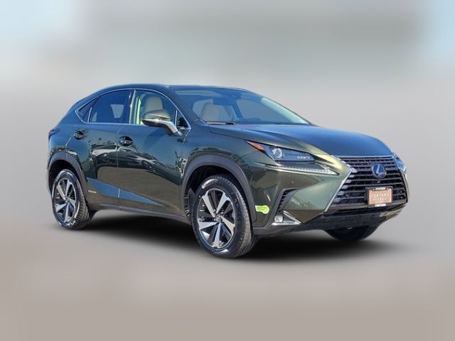 2021 Lexus NX 300h