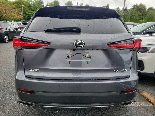 2021 Lexus NX 300 F Sport