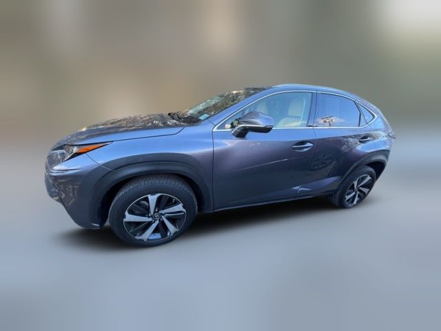 2021 Lexus NX 300