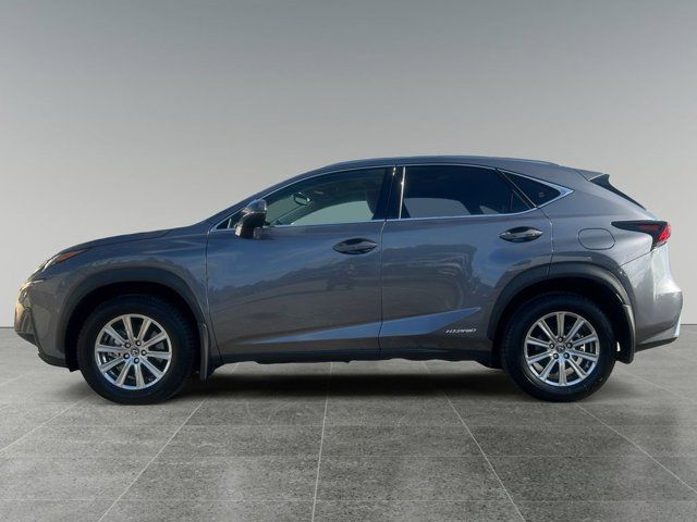 2021 Lexus NX 300h