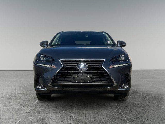 2021 Lexus NX 300h