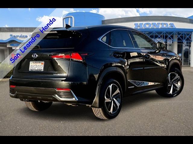 2021 Lexus NX 300h