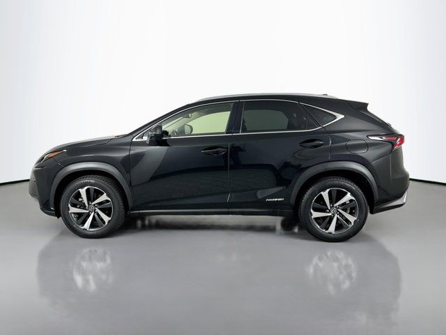 2021 Lexus NX 300h