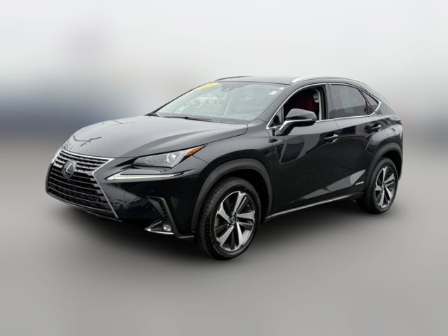 2021 Lexus NX 300h