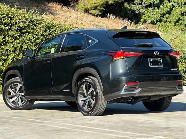 2021 Lexus NX 300h