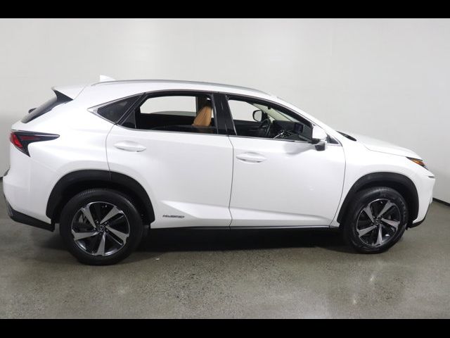 2021 Lexus NX 300h