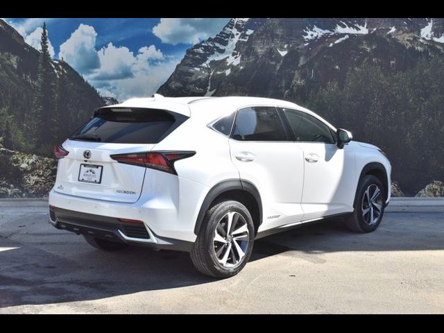 2021 Lexus NX 300h