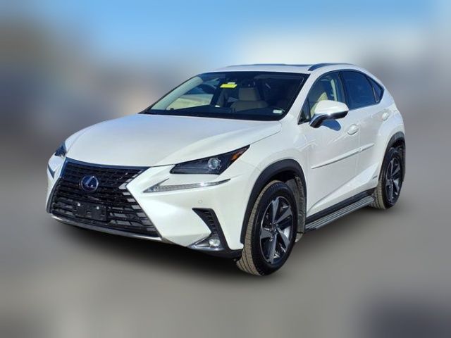 2021 Lexus NX 300h