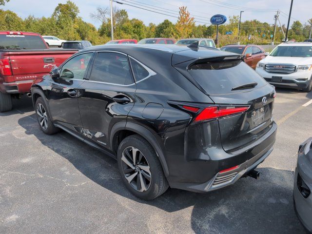 2021 Lexus NX 300h