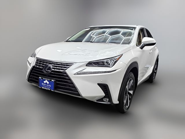 2021 Lexus NX 300h