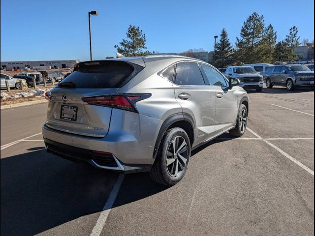 2021 Lexus NX 300h