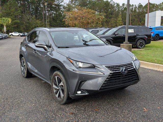 2021 Lexus NX 300h