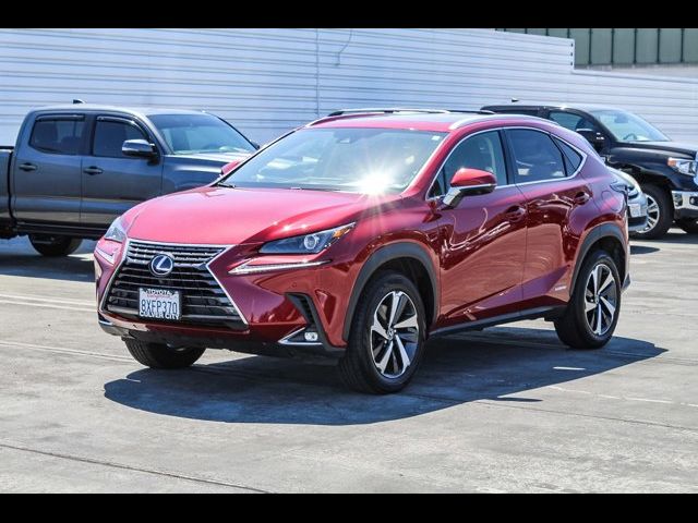 2021 Lexus NX 300h