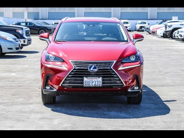 2021 Lexus NX 300h