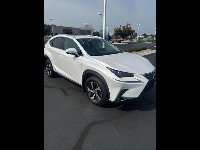 2021 Lexus NX 300h