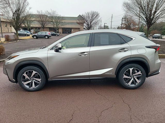 2021 Lexus NX 300h Luxury