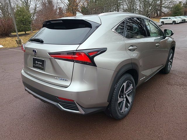 2021 Lexus NX 300h Luxury