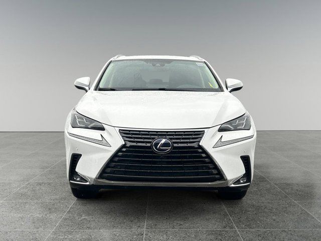 2021 Lexus NX 300h Luxury