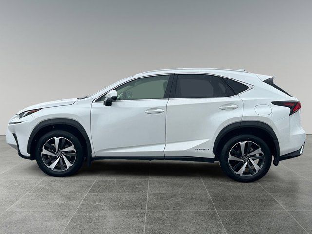 2021 Lexus NX 300h Luxury