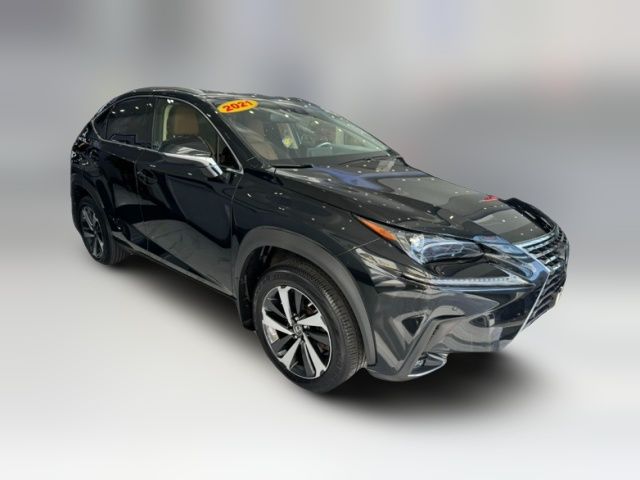 2021 Lexus NX 300