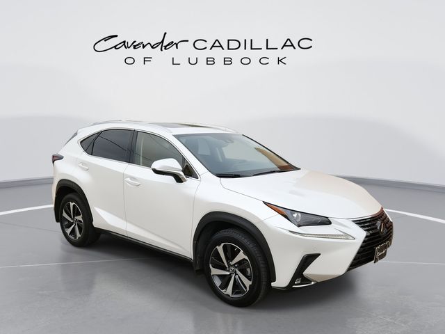 2021 Lexus NX 300