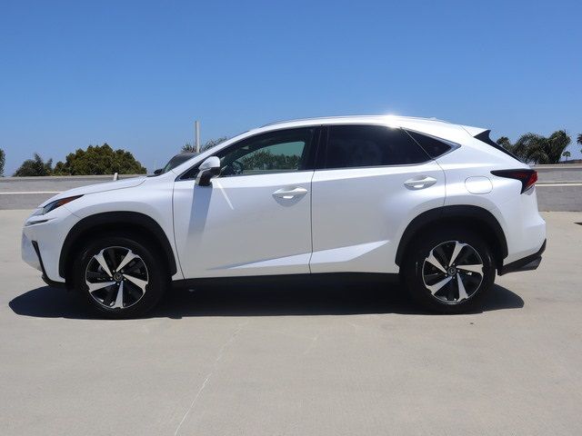 2021 Lexus NX 300