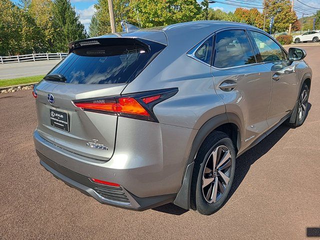 2021 Lexus NX 300h