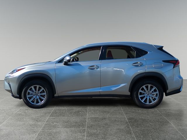 2021 Lexus NX 300h