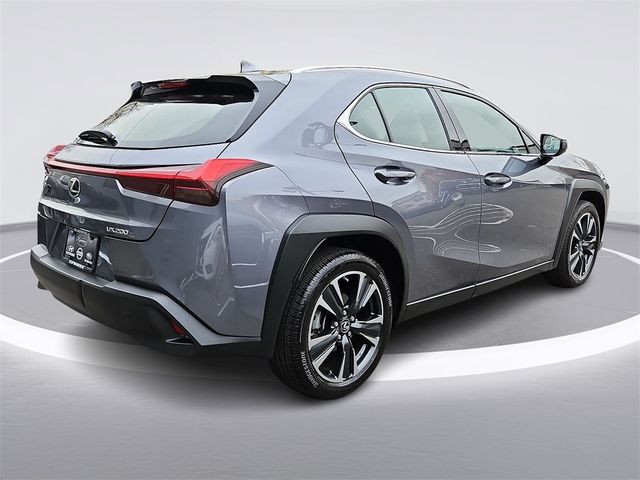 2021 Lexus UX 200