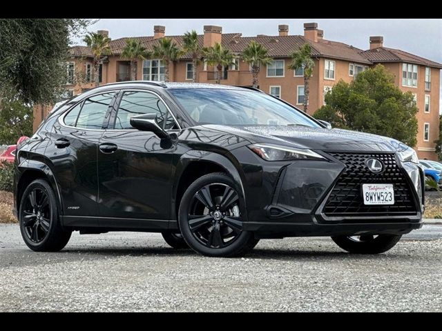 2021 Lexus UX 250h