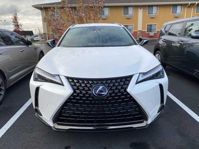 2021 Lexus UX 250h