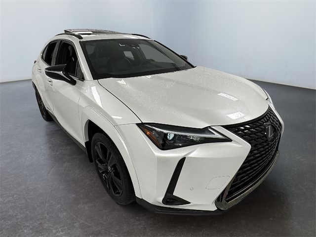 2021 Lexus UX 250h