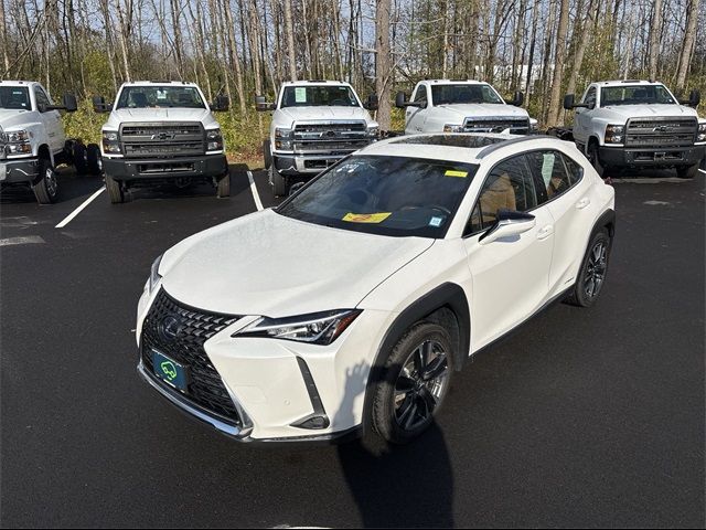 2021 Lexus UX 250h