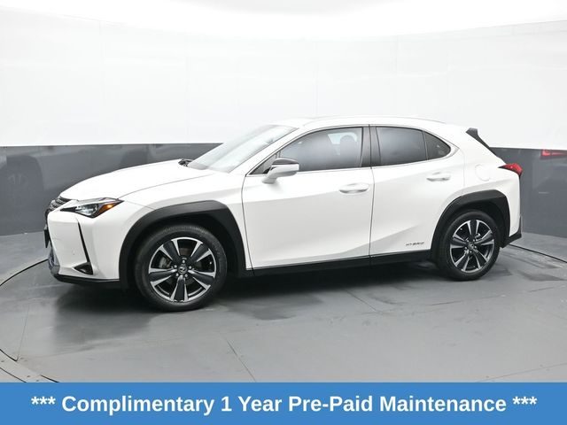 2021 Lexus UX 250h