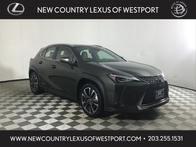 2021 Lexus UX 250h