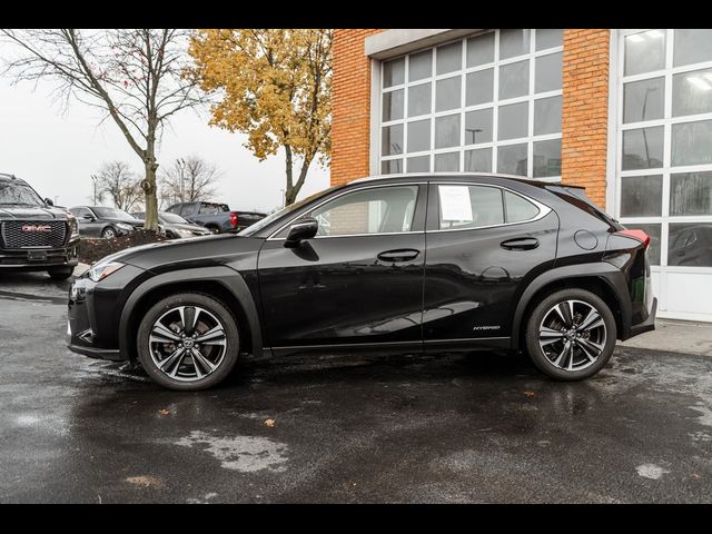 2021 Lexus UX 250h